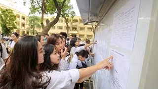 Ảnh minh họa Internet.