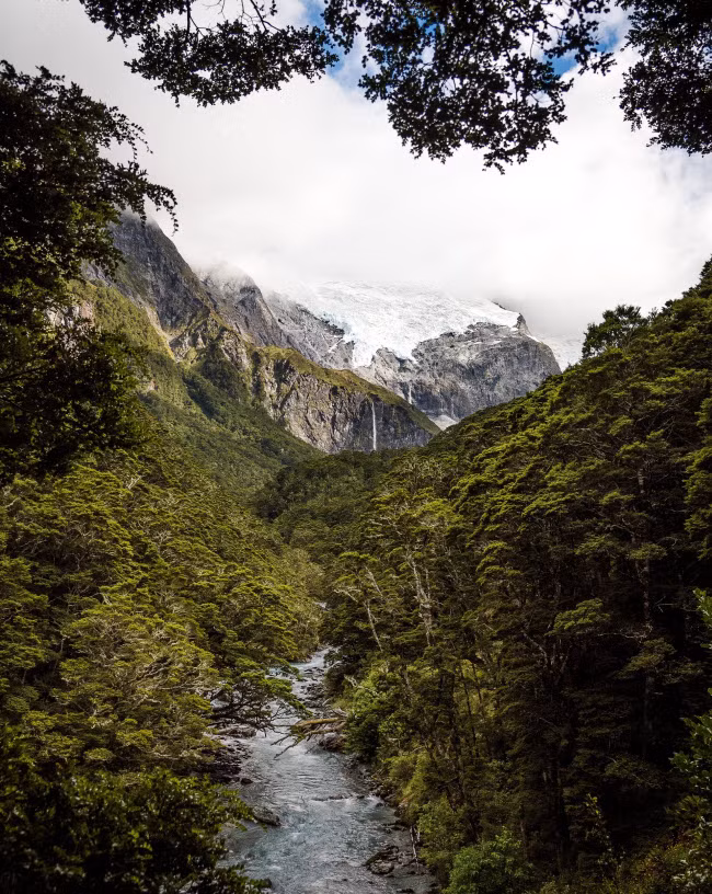  Sông băng Rob Roy nằm trên núi Aspiring ở New Zealand.