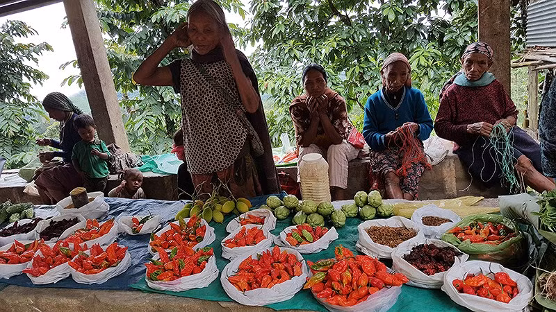 Người Nagaland rất thích ăn cay. Người Nagaland rất thích ăn cay.