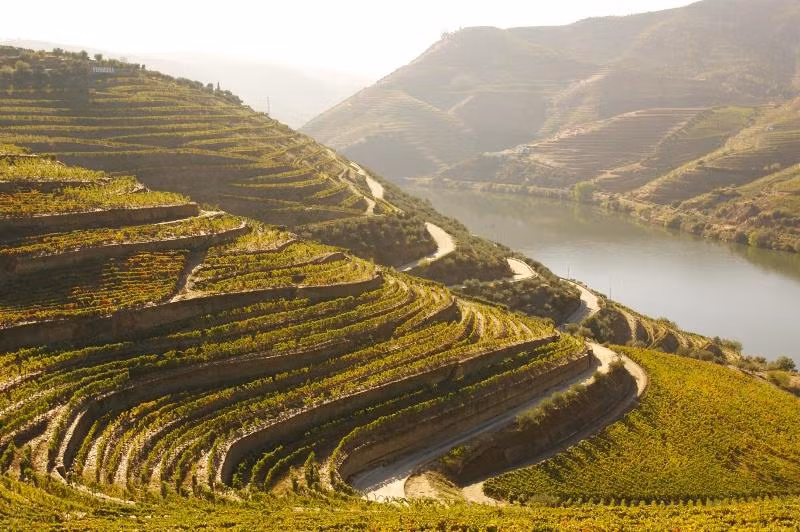 Sắc đỏ cam và vàng của ruộng nho bậc thang dọc bờ sông ở thung lũng Douro, Bồ Đào Nha như những thảm lụa đủ sắc màu. Ngoài thú nhấm nháp rượu vang sau bữa ăn để kích thích tiêu hóa, du khách có thể tham gia tour du lịch nhà máy rượu hay dã ngoại suốt hành trình dọc sông bằng xe đạp, du thuyền hoặc tản bộ.