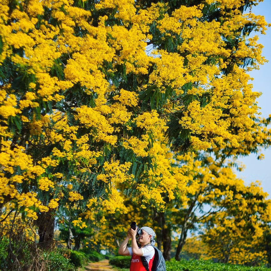 1 @yanlovetravel