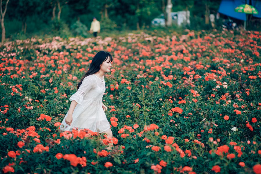 Ảnh Nga Linh Lê
