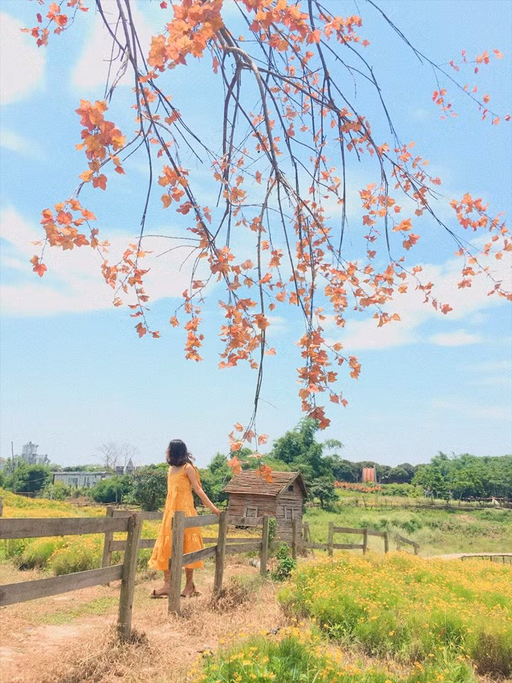Ảnh Nga Bùi 