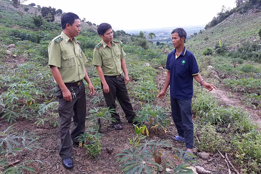  Cán bộ Hạt Kiểm lâm huyện Ia Pa hướng dẫn người dân chăm sóc cây keo trồng mới. Ảnh: Mai Linh