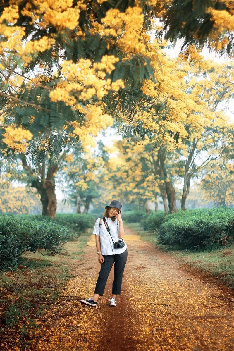 @yanlovetravel