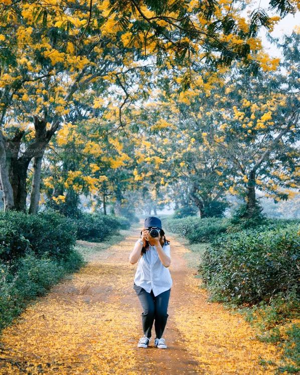 FB: Nguyễn Hà Ly