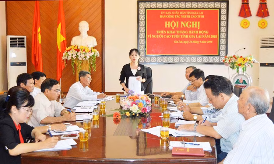  Ban Công tác NCT tỉnh triển khai Tháng Hành động vì NCT năm 2018. Ảnh: Đinh Yến