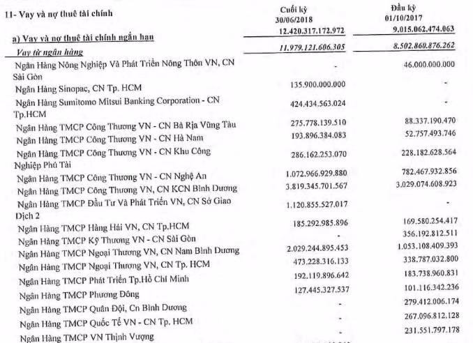 Hoa Sen đang vay ở hàng chục ngân hàng trong và ngoài nước (Ảnh: BCTC)
