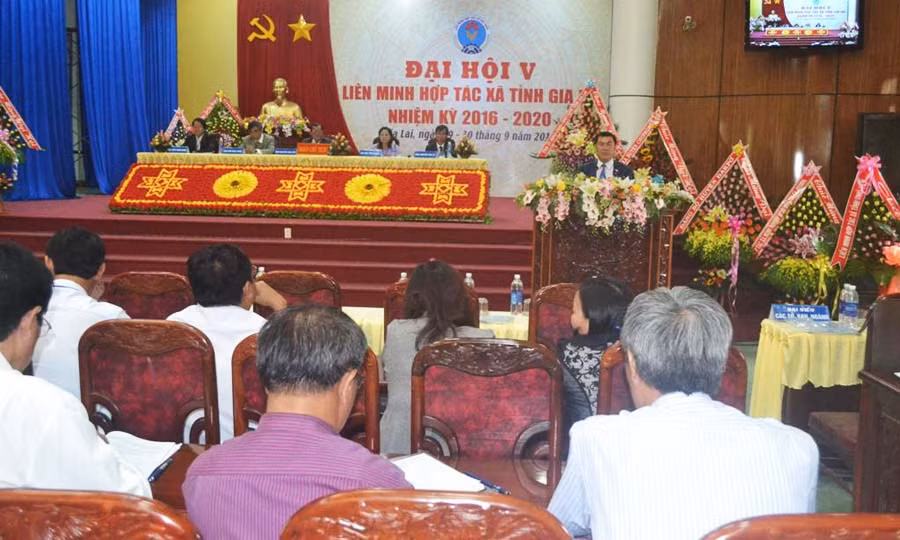 Phó Chủ tịch UBND tỉnh Nguyễn Đức Hoàng phát biểu chỉ đạo Đại hội. Ảnh: L.N