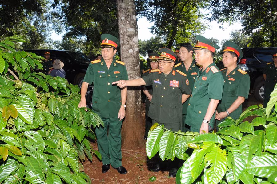 Lãnh đạo Binh đoàn 15 cùng các đồng chí cán bộ nước Cộng hòa dân chủ nhân dân Lào thăm vườn cây của Công ty 715 (Binh đoàn 15). Ảnh: Văn Thiền Lãnh đạo Binh đoàn 15 cùng các đồng chí cán bộ nước Cộng hòa dân chủ nhân dân Lào thăm vườn cây của Công ty 715 (Binh đoàn 15). Ảnh: Văn Thiền