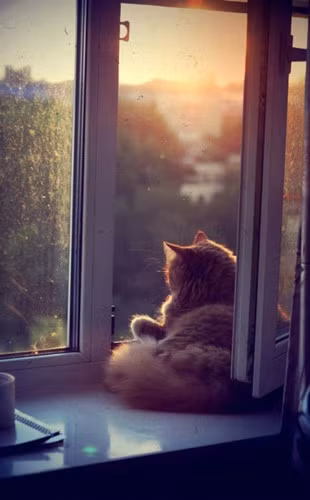 Không gì thú vị hơn nằm ườn và xem hoàng hôn. (tumblr.com).