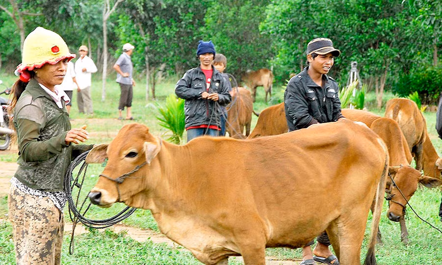 Ảnh minh họa. Ảnh minh họa.