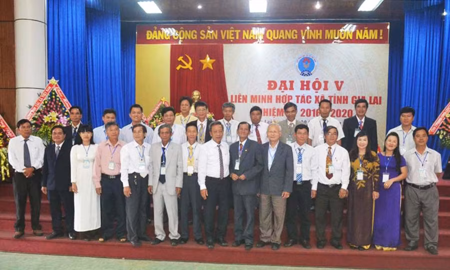  Ban Chấp hành Liên minh HTX tỉnh nhiệm kỳ 2016-2020. Ảnh: L.N