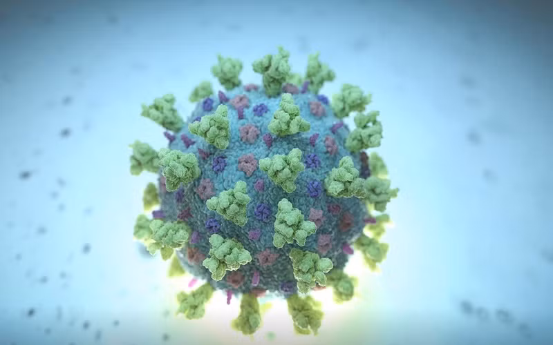  Hình ảnh mô phỏng Betacoronavirus.)