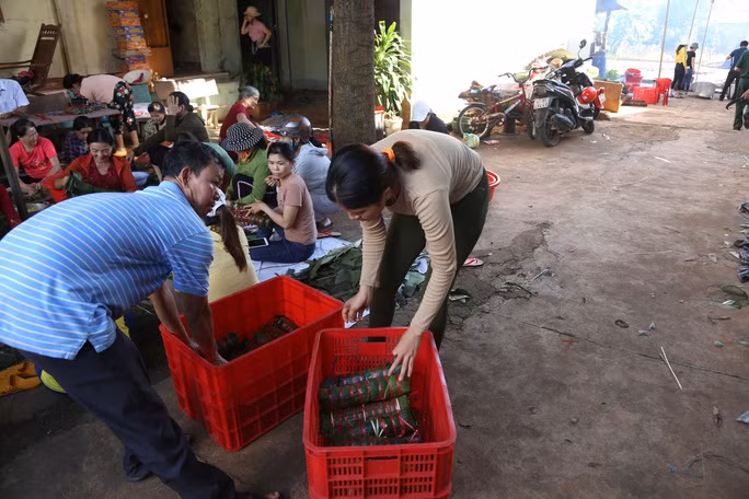 Hơn 2.000 đoàn bánh tét đã được người dân Đắk Lắk đóng góp, ủng hộ cho đồng bào miền Trung