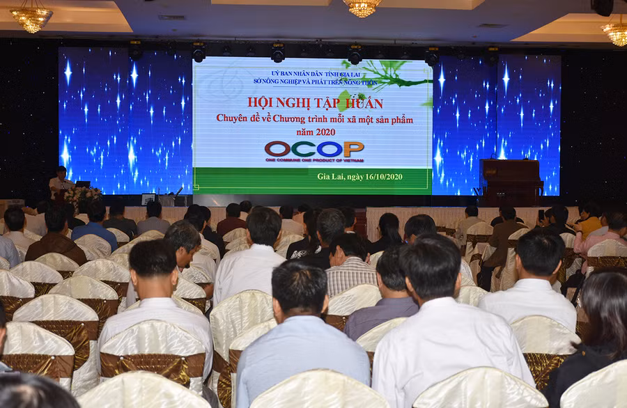  Quang cảnh hội nghị. Ảnh: Lê Nam