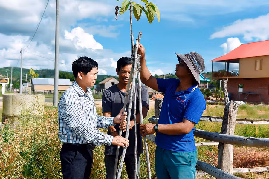 Người dân chung tay giữ gìn, cải tạo cảnh quan môi trường, trồng và chăm sóc 230 cây xanh do công ty Vinataba hỗ trợ, để tạo bóng mát đường làng, góp phần xây dựng làng nông thôn mới.