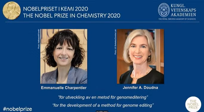  Hai nhà khoa học Emmanuelle Charpentier và Jennifer A. Doudna giành giải Nobel Hóa học 2020. Ảnh: Nobel Prize