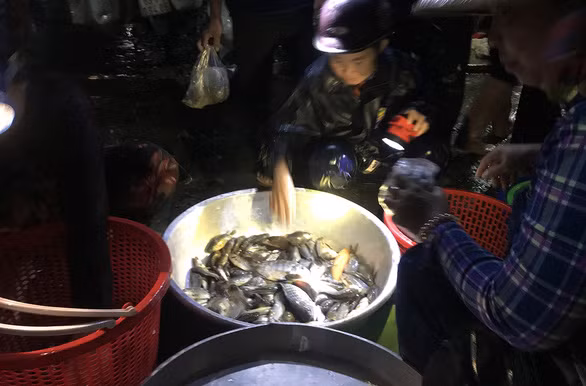 Cảnh bán buôn cá đồng lúc 3h sáng tại chợ Bình Châu - Ảnh: THÀNH NHƠN