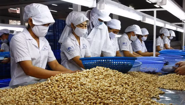 Một gói kích thích tăng trưởng quan trọng khác mà Chính phủ không phải tốn nhiều tiền nhưng hiệu quả cao là việc đầu tư vào chuyển đổi số, hỗ trợ thông tin về các thị trường xuất-nhập khẩu cho cộng đồng doanh nghiệp. (ảnh nguồn internet)