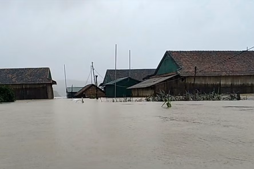 Người dân miền Trung chịu thiệt hại nặng nề vì mưa lũ. Ảnh: LPL