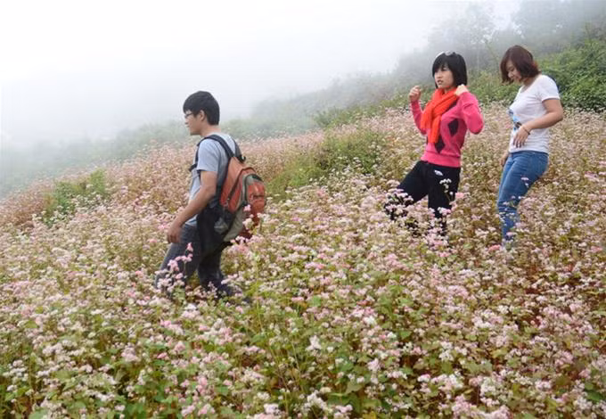 Khám phá cuộc sống và cây lương thực của người dân vùng cao.