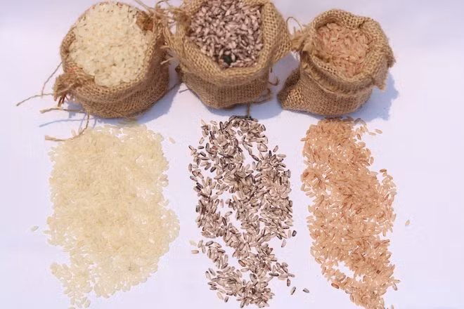 Các loại gạo trắng và gạo màu của Việt Nam - Ảnh: Đinh Đang