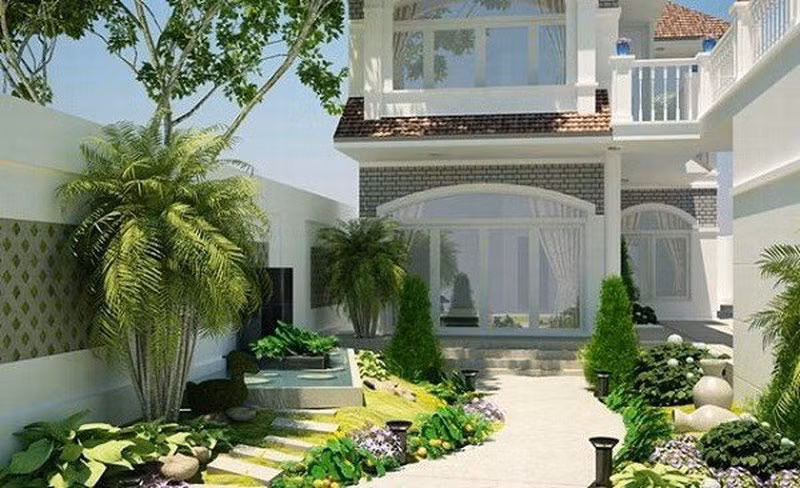 Cây cau trồng trước của nhà tốt cho phong thủy