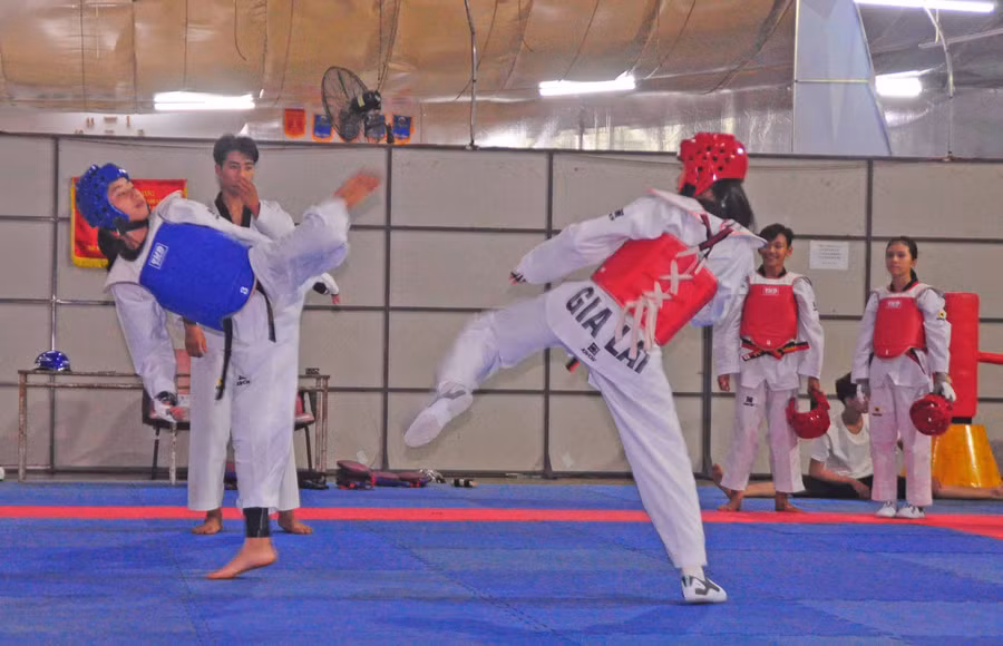 Các VĐV đội tuyển taekwondo của tỉnh tập luyện. Ảnh: Thiên Di