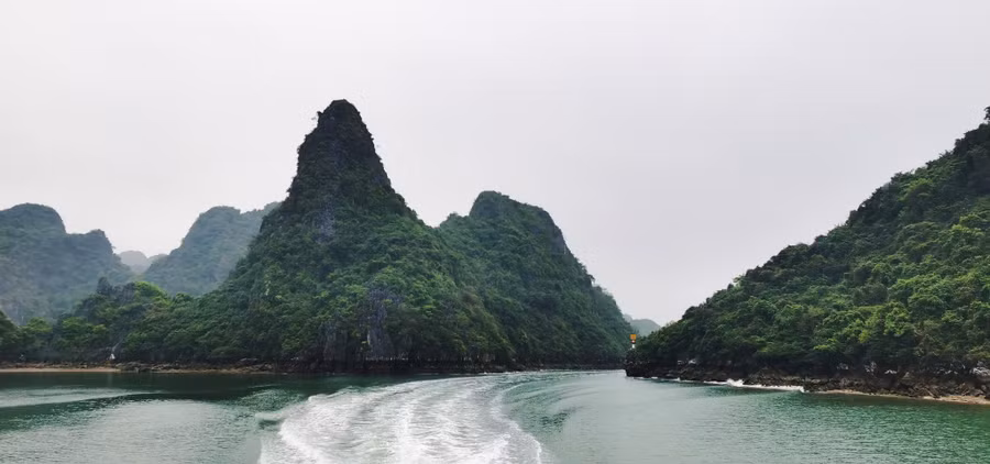 Hệ sinh thái phong phú là điểm khác biệt giữa Bái Tử Long với Hạ Long. ẢNH N.H
