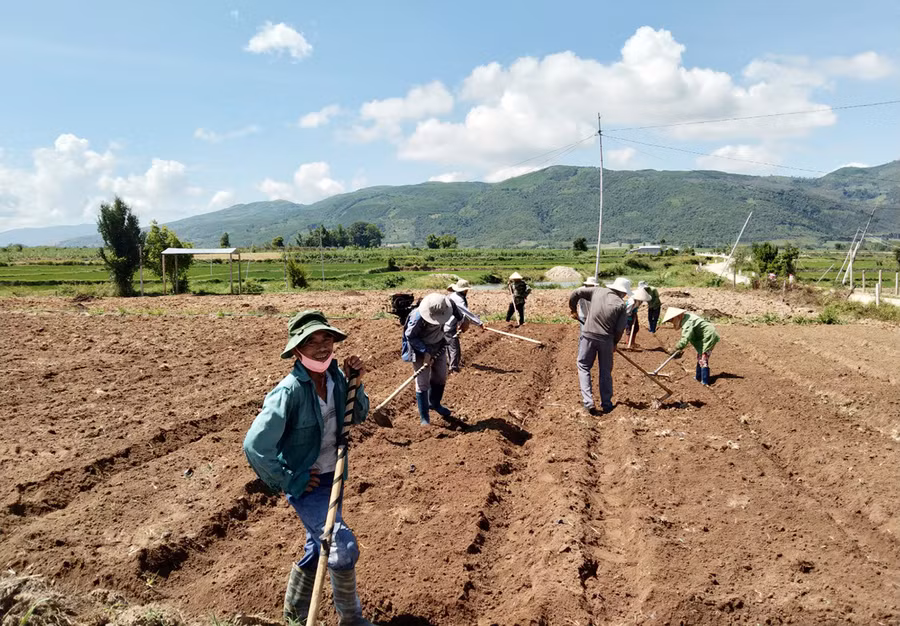 Lớp đào tạo trồng rau an toàn của xã Tân An (huyện Đak Pơ) hướng dẫn hội viên cải tạo đất. Ảnh: Nhật Hào