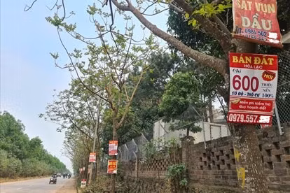 Bảng giá đất và giá đất cụ thể có sự khác nhau về cơ quan ban hành, thời hạn ban hành và trường hợp sử dụng. Ảnh minh hoạ: Cao Nguyên
