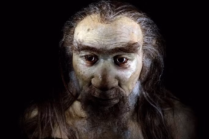 Tượng sáp mô tả một loài người lạ đã tuyệt chủng. Ảnh: ACIENT ORIGINS
