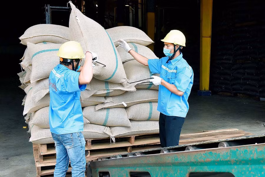 Sản phẩm cà phê của Công ty TNHH Vĩnh Hiệp xuất khẩu sang thị trường châu Âu. Ảnh: Đức Thụy Sản phẩm cà phê của Công ty TNHH Vĩnh Hiệp xuất khẩu sang thị trường châu Âu. Ảnh: Đức Thụy