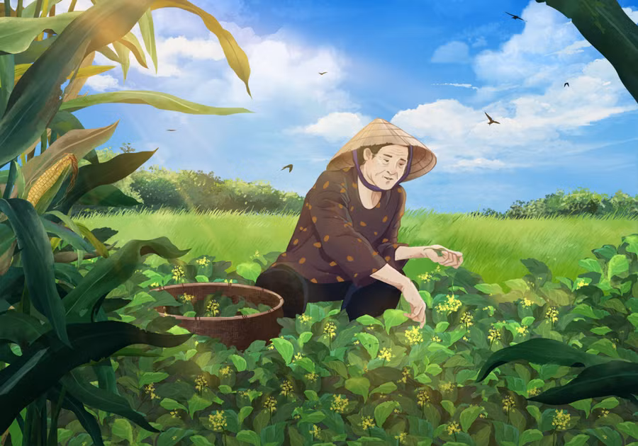 Minh họa: Trà My