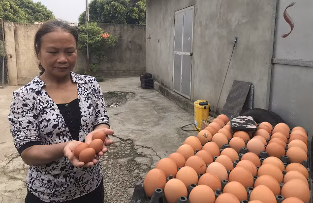 Chị Nguyễn Thị Hương giới thiệu về sản phẩm trứng gà sinh học. Ảnh: P.V