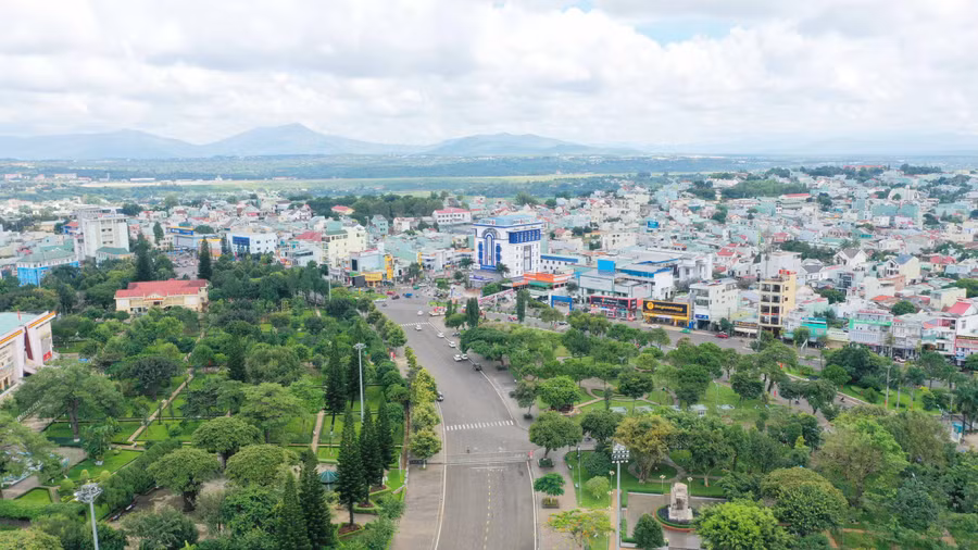 Việc phát triển hệ thống cây xanh đô thị ở TP. Pleiku phân bổ chưa đồng đều và chủng loại chưa đa dạng. Ảnh: Quang Tấn Việc phát triển hệ thống cây xanh đô thị ở TP. Pleiku phân bổ chưa đồng đều và chủng loại chưa đa dạng. Ảnh: Quang Tấn