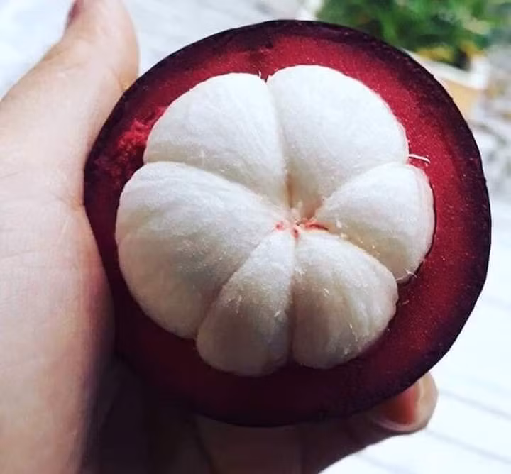 Măng cụt đem lại nhiều lợi ích cho sức khoẻ. Ảnh: H.M