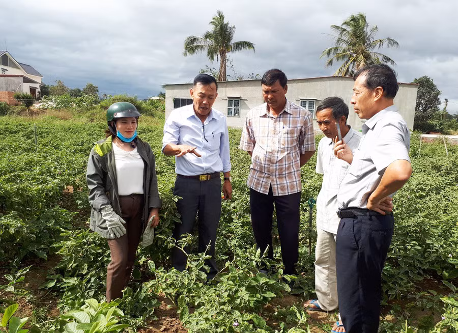 Hội Nông dân huyện Phú Thiện mời các chuyên gia hướng dẫn quy trình trồng, chăm sóc, phòng trị bệnh trên cây trồng cho người dân xã Ia Peng. Ảnh: Nhật Hào
