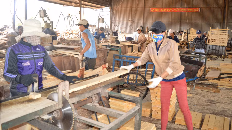 Công nhân làm việc ở các nhà máy chế biến gỗ cao su tiềm ẩn nhiều nguy cơ tai nạn lao động. Ảnh: Đinh Yến