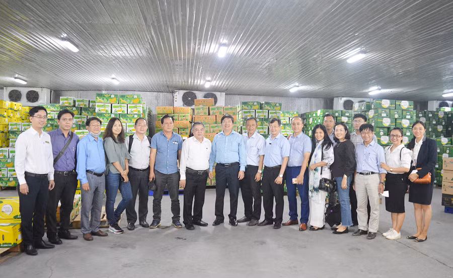  Đoàn Công tác của trường tham quan khu vực chế biến chuối của Công ty. Ảnh: Anh Huy