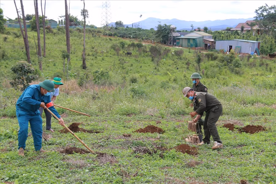 Lực lượng chức năng huyện Đắk Glong tiến hành trồng lại rừng ngay sau khi đã cưỡng chế thu hồi được đất rừng. Ảnh: D.P