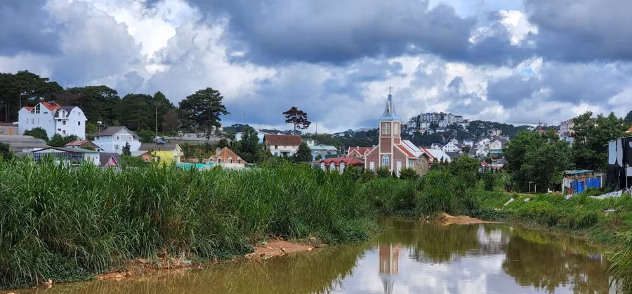 Cỏ dại mọc um tùm ngay giữa lòng hồ. Ảnh: Lâm Viên