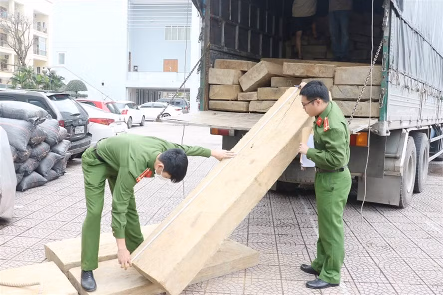  Lực lượng công an đo đạc số gỗ không rõ nguồn gốc đã bắt giữ. Ảnh: CA.