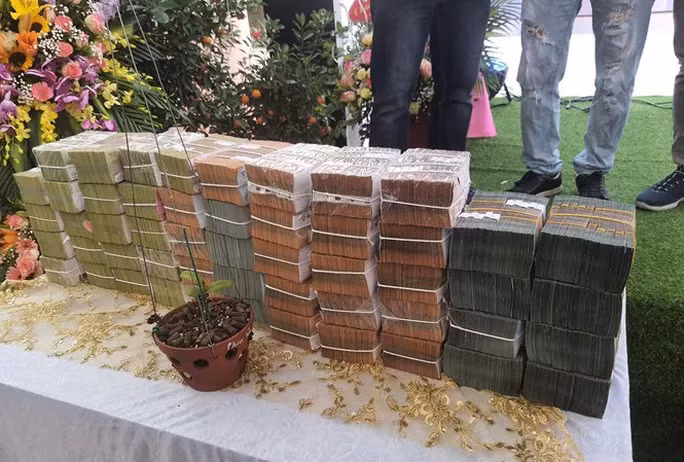 Cộng đồng mạng xôn xao về thương vụ mua bán lan đột biến Ngọc Sơn Cước trị giá 250 tỉ đồng diễn ra tại Mạo Khê, Đông Triều, Quảng Ninh. Hàng tỉ đồng đã được đem đến tại cuộc giao dịch lan đột biến