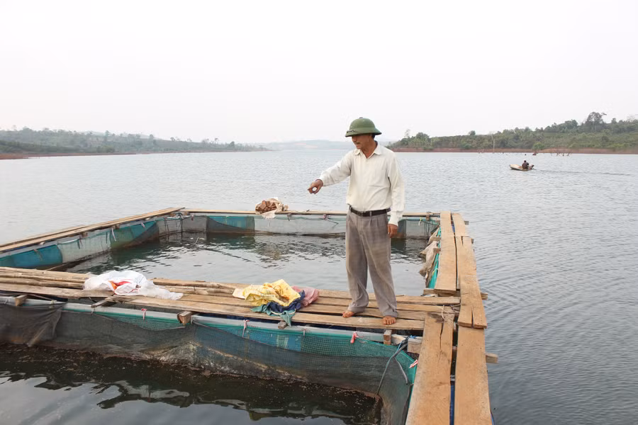  Ông Dương đang kỳ vọng nuôi cá lồng sẽ phát triển mạnh trong thời gian tới. Ảnh: Nguyễn Diệp
