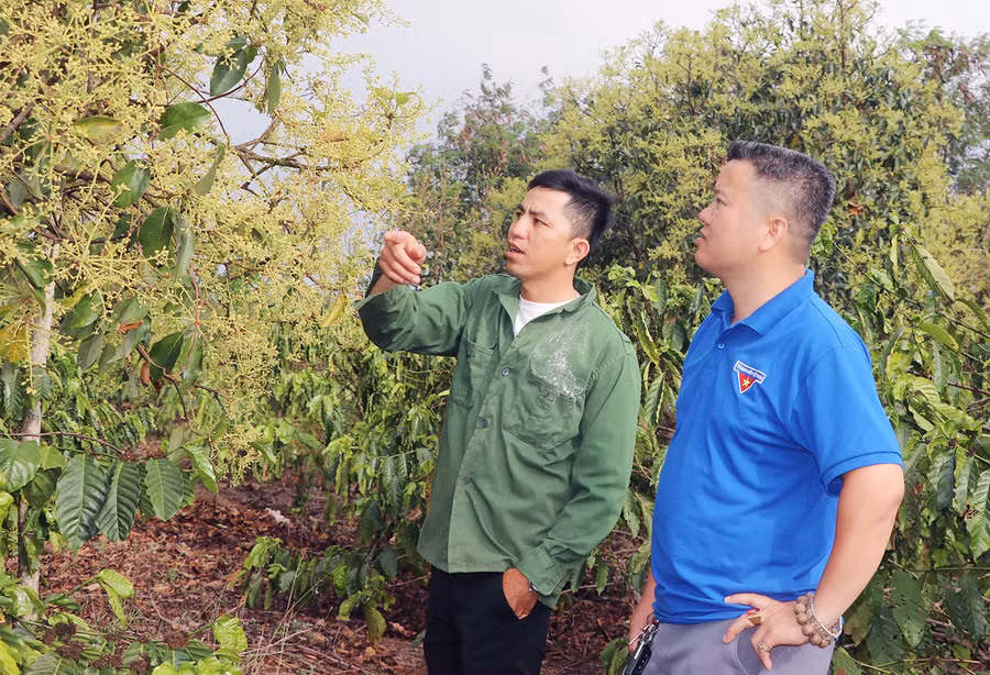 Anh Long Văn Tường (bên trái; xã Chơ Long, huyện Kông Chro) chia sẻ kinh nghiệm sản xuất. Ảnh: Ngọc Minh