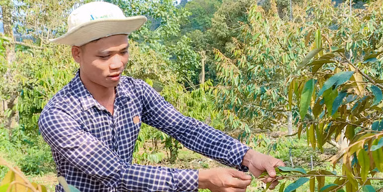 Phạm Văn Ngọc bên vườn sầu riêng tự tưới