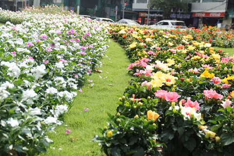 Trước khi công viên hoa tươi hình thành, nơi đây là bãi xe máy và ô tô dưới sự quản lý của lực lượng đô thị quận 1