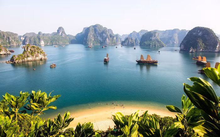 Vịnh Hạ Long. Vịnh Hạ Long.